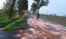 Między zjazdem z autostrady, a Udaninem na drodze rozlany był olej