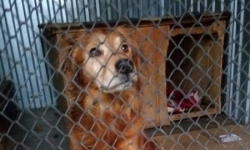 Kuba poszukuje nowego właściciela