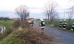 Na wiadukcie nad A4 były powalone gałęzie. Interweniowali strażacy