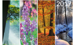 Twoje zdjęcie może zdobić kalendarz Powiatu Średzkiego. Starosta ogłasza konkurs