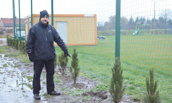 W Komornikach ktoś okradł boisko z... drzewek