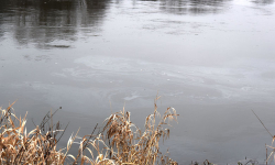 Plama nieznanej substancji na rzece Odrze w Malczycach. Interweniowała straż pożarna