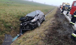 Samochód skradziono na terenie Niemiec. Kierowcę poszukiwali policjanci z psem tropiącym