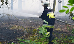 Pali się las w Miękini. Na miejscu jest kilka zastępów straży pożarnej [foto][aktualizacja]
