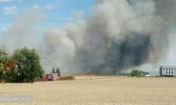 Płonął kombajn i pola ze zbożem. Pracowita niedziela strażaków [foto]