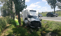 Usuwali gniazda owadów i pomagali przy zdarzeniach drogowych [raport strażaków]