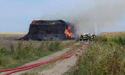 Pożary, wypadki i owady. Podsumowanie weekendowych działań strażaków