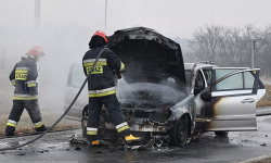 W Wilczkowie na szrotowisku spłonęło kilka aut. Interweniowało sześć zastępów straży
