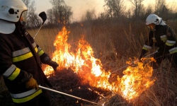 Interweniowali przy pożarze w lesie i powalonym drzewie [raport średzkich strażaków]
