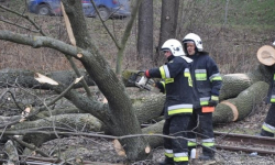 Silny wiatr powalił drzewa. Strażacy interweniowali też przy pożarze ciężarówki na A4