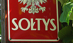 Wybory sołeckie w gminie Malczyce na nowych zasadach 