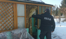 Dzielnicowi sprawdzają miejsca, w których mogą przebywać osoby bezdomne