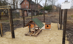 W Malczycach powstały domki dla wolno żyjących kotów