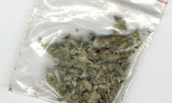 Środa Śląska: 35-latek miał amfetaminę i uprawiał marihuanę. Najbliższe miesiące spędzi w areszcie