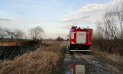 Najczęściej w ciągu minionego weekendu strażacy wyjeżdżali do pożarów traw