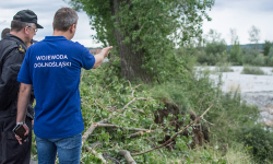 Trwa szacowanie szkód po sobotniej burzy [foto/film]