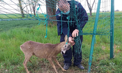Tym razem policjanci uwolnili uwięzionego 