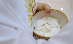 Pierwsze Komunie. W niektórych parafiach już się odbywają 