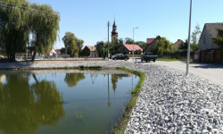 Staw w Wilkszynie został odnowiony