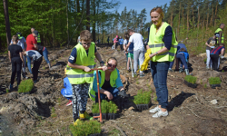 Nadleśnictwo Miękinia zaprasza na akcję #sadziMY