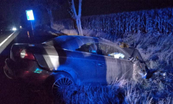 Wypadł z drogi i dachował. Chciał ominąć sarnę