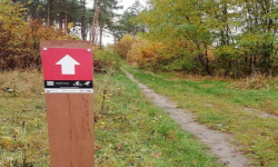 Ścieżki rowerowe w nowej odsłonie