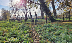 Psi Gaj w Środzie Śląskiej. Miejsce, które straciło swój blask?