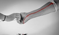 Akcja krwiodawstwa w Środzie Śląskiej już jutro