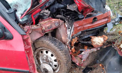 Zasłabł i uderzył w przydrożne drzewo