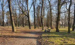 Park przy ul. Malczyckiej - historyczne miejsce z potencjałem