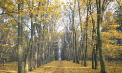 Stowarzyszenie "Aktywni Razem"  z terenu gminy Miękinia rozpoczęło pierwszą inicjatywę