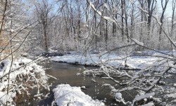 Konkurs fotograficzny „Zima w obiektywie”  rozstrzygnięty