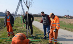 Powiat rozpoczyna nasadzenia