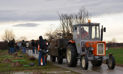 Nasadzenia drzew na odcinku Środa Śląska - Ciechów