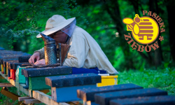Cudze chwalimy, pochwalmy i nasze – cz. 1 Pasieka Ziębów