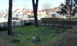 Wiosenne porządki na terenie miasta i gminy Środa Śląska