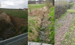 Gmina przeznaczy blisko 100 tys. złotych na czyszczenie rowów m.in. w Krynicznie i Proszkowie