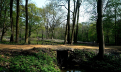 W ramach Dnia Ziemi chcą posprzątać park w Piotrowicach