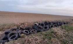 Wiosenne porządki kosztem środowiska? Tak wyglądają przydrożne rowy m.in. w Rakoszycach
