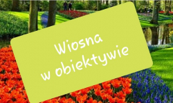 Konkurs fotograficzny w gminie Kostomłoty pn. „Wiosna w obiektywie”