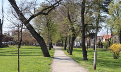 Lampy w średzkim parku zostaną odnowione