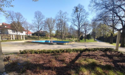 Odpowiedź UM na artykuł „Ratusz planuje nowe nasadzenia na terenie miasta i gminy” 