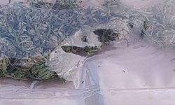 Policjanci udaremnili dystrybucję  4,7 tys. porcji narkotyków. Zatrzymali dwóch mężczyzn