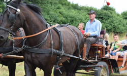 Piknik rodzinny w Piersnie [galeria]
