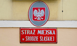 Straż Miejska z dostępem do bazy CEPiK