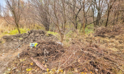 Hałdy liści i gałęzi za boiskiem na Kajakach. Mieszkańcy: „Czy my też możemy utylizować tam odpady?”