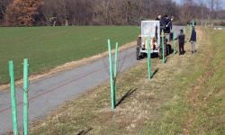 Odcinek Środa Śląska-Ciechów cały w drzewach 
