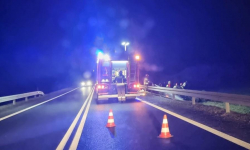 Starał się ominąć martwego dzika, skończył podróż w przydrożnym rowie