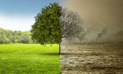 Spotkanie z doradcą energetycznym w gminie Miękinia