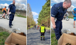 Małe kaczki na trasie Bike Maratonuu w Miękini - pomocy udzielili strażacy i policjanci